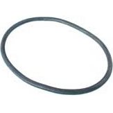 HAYWARD ORIGINAL STARCLEAR PLUS FILTER ORING